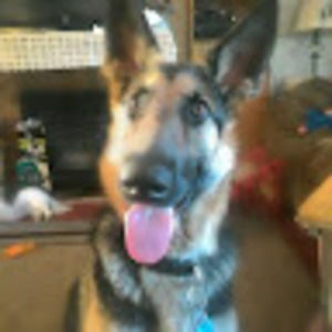 Meet your Posher, Julie gay